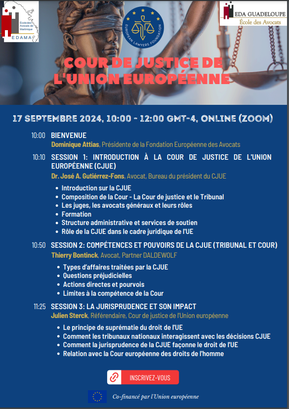 WEBINAIRE CJUE : Cour de la justice de l'Union Européenne 